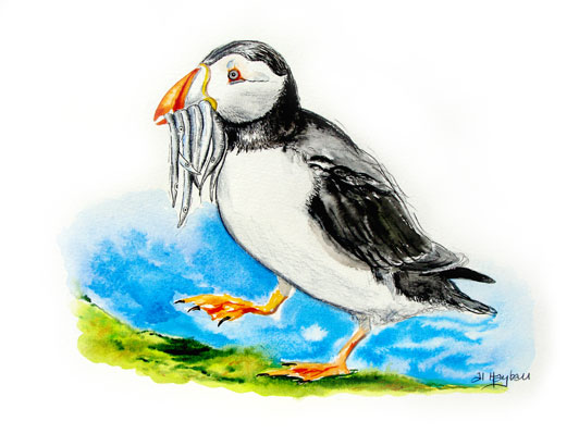 puffin art, alan hayball,