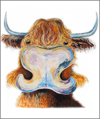 west highland cattle artwork,