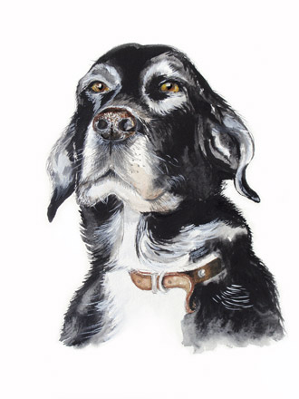 labrador art,