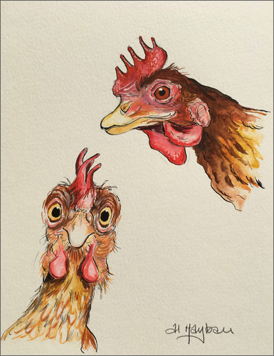 Chickens Selfie, Chicken art,