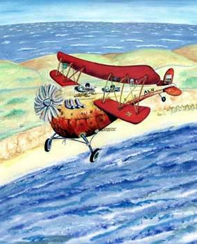 bi plane art