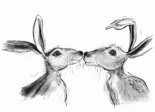 kissing hares, black and white, al hayball,