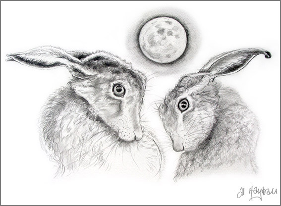 moon bathing hares,
