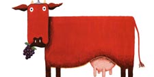 red win cabernet sauvignon cow