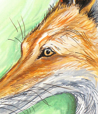 fox art,