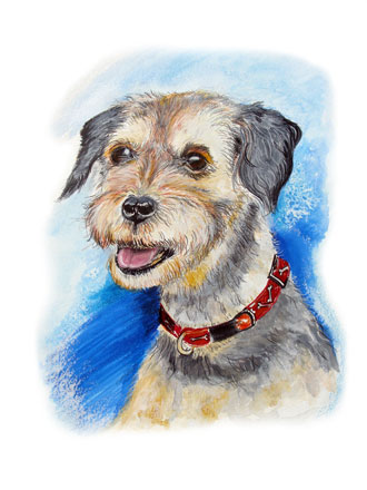 border terrier,