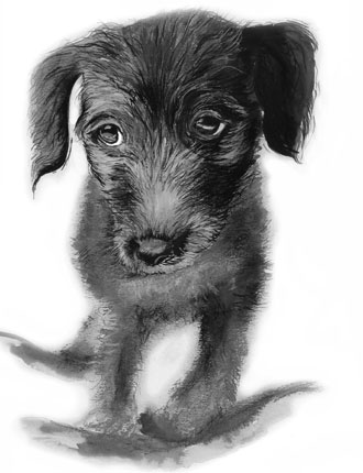 lurcher puppy art,